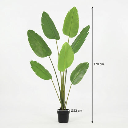 Kunstplant - Strelitzia Nicolai - Hoogte ↕ 170cm