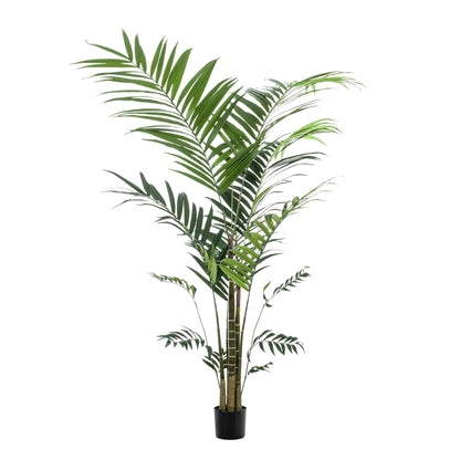 XL Kunstplant - Kentia Kentiapalm - Hoogte ↕ 210cm