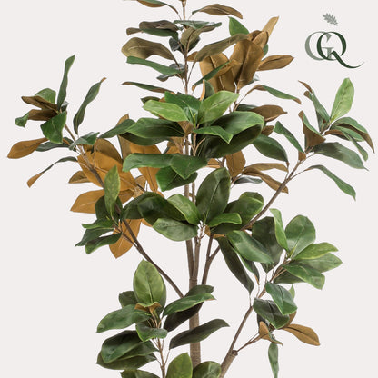 Kunstplant - Magnolia Grandiflora - Hoogte ↕ 180cm