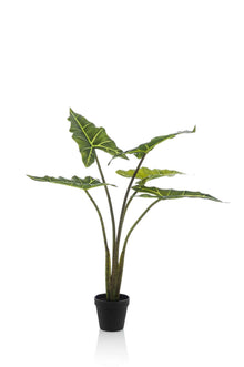 Kunstplant - Alocasia Frydek Olifantsoor - 80 cm