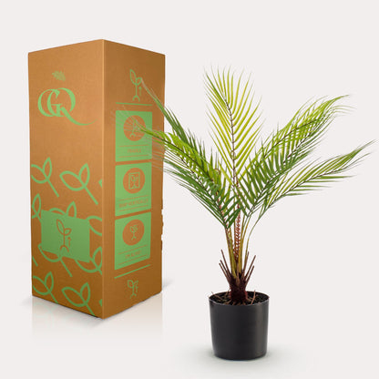 Kunstplant - Chamaedorea Bergpalm - 50 cm