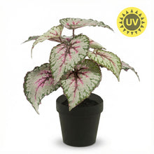 Kunstplant - Begonia - Pot Ø inbegrepen Hoogte ↕ 26cm