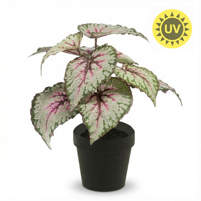 Kunstplant - Begonia - Pot Ø inbegrepen Hoogte ↕ 26cm