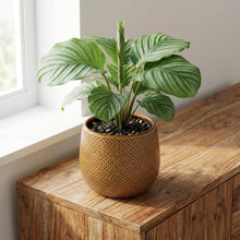 Pot Gabriel Rond Oker - Ø14cm