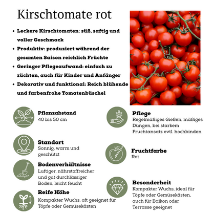 Buitenplant - Rode plukgroente mix - Cherry tomaat, Snack paprika & Hete peper - Pot Ø 14cm Hoogte ↕ 45cm