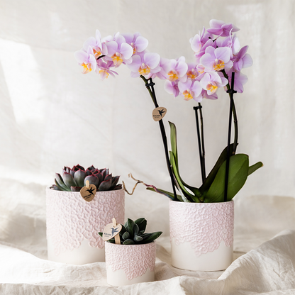 Sierpot Bloom Pink - Ø9cm
