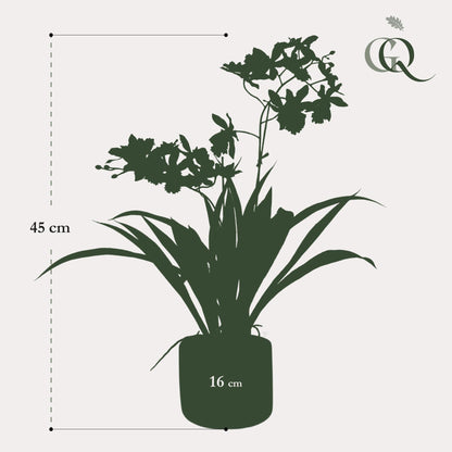 Kunstplant - Orchidee Geel - 45cm