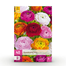 Buitenplant 40x Ranunculus Mix - Bloembollen - Bolmaat 5/6