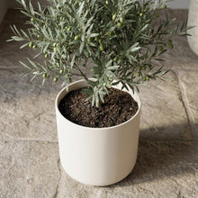 Pot - B.for Soft Wit - Ø 22cm