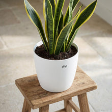Sierpot - Brussels Rond 22cm - Wit