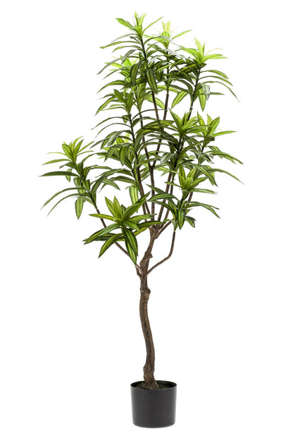 Kunstplant - Dracaena Drakenboom - 130 cm