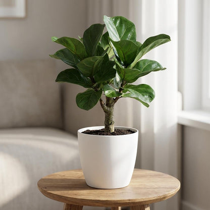 Sierpot - Brussels Rond 30cm - Wit