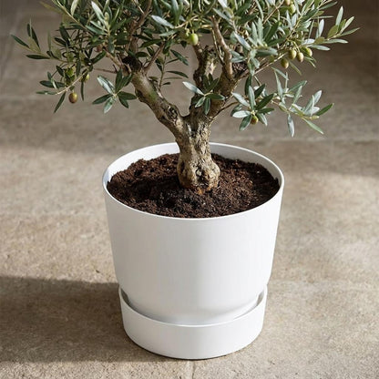 Sierpot - Ronde Buitenpot 30cm - Wit