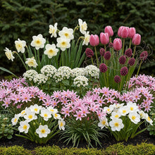 Bloembollen - Bulb Garden Pink Mix - Diverse soorten - 125 stuks - Geschenkverpakking