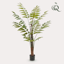 XL Kunstplant - Rumohra Adiantiformis - Ledervaren - Hoogte ↕ 150cm