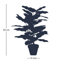 Kunstplant - Calathea in Pot - 65cm