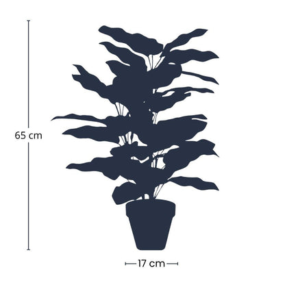 Kunstplant - Calathea in Pot - 65cm