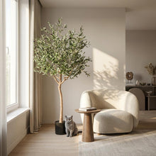 Kunstplant - Olea europaea Olijfboom - Hoogte ↕ 180cm