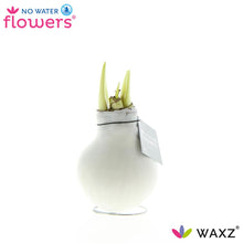 Kunstplant - Waxz® White - Hoogte ↕ 15cm