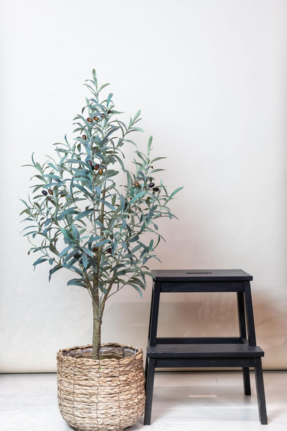 Kunstplant - Olea europaea Olijfboom - Hoogte ↕ 115cm