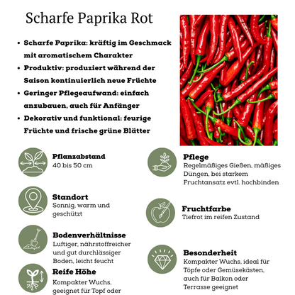 Buitenplant - Rode plukgroente mix - Cherry tomaat, Snack paprika & Hete peper - Pot Ø 14cm Hoogte ↕ 45cm