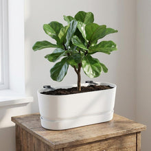 Pot - Greenville Easy Balcony - Wit - Ø 25cm