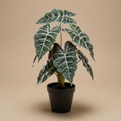 Kunstplant - Alocasia bush in pot - Hoogte ↕ 40cm