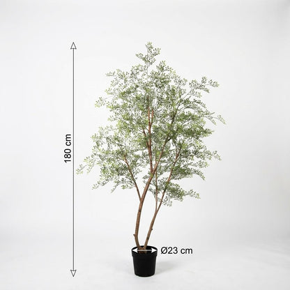 XL Kunstplant - Cassia Boom - Hoogte ↕ 180cm