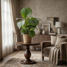 Kamerplant - Calathea Orbifolia met zeegras mand - Pot Ø 21cm Hoogte ↕ 65cm