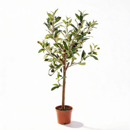 Kunstplant - Olijfboom in pot - Hoogte ↕ 65cm