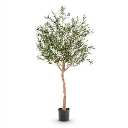 Kunstplant - Olea europaea Olijfboom - Hoogte ↕ 180cm