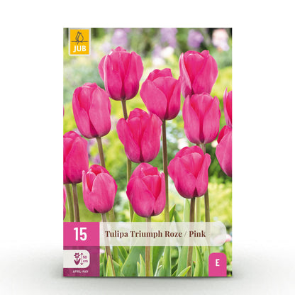 Bloembollen 15x Tulp Triumph Pink - Roze - Bolmaat 11/12