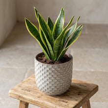 Sierpot - Relief Wit - Ø 13,5cm