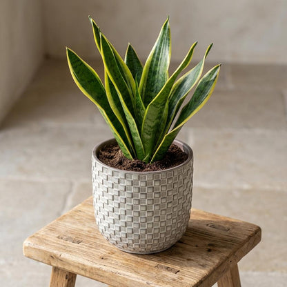 Sierpot - Relief Wit - Ø 13,5cm