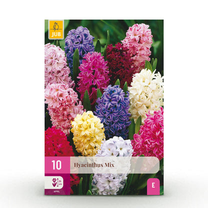 Bloembollen - Hyacint mix - Diverse kleuren - 10 stuks - Bolmaat 14/15