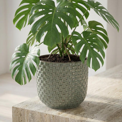 Sierpot - Mini Pot Relief Groen - Ø 7cm