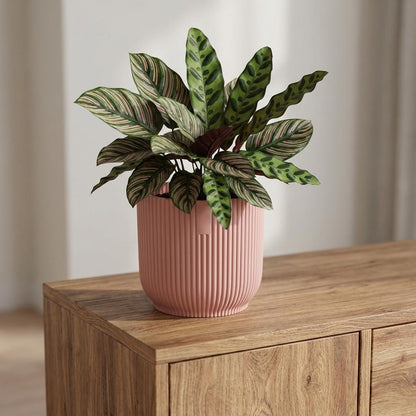 Sierpot - Vibes Fold 14cm - Roze