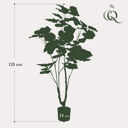 Kunstplant - Ficus Umbellata - Afrikaanse Vijg - Hoogte ↕ 125cm