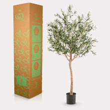 Kunstplant - Olea europaea Olijfboom - Hoogte ↕ 180cm