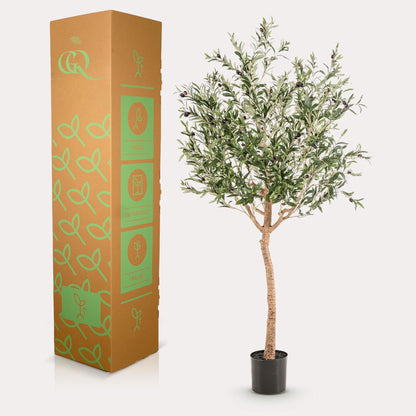Kunstplant - Olea europaea Olijfboom - Hoogte ↕ 180cm