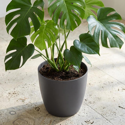 Pot - ELHO Brussels Rond 30cm - Antraciet