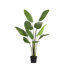 Kunstplant - Strelitzia Nicolai - Hoogte ↕ 180cm