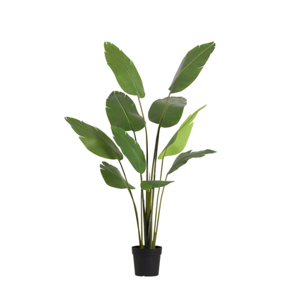 Kunstplant - Strelitzia Nicolai - Hoogte ↕ 180cm