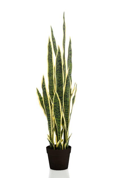Kunstplant - Sanseveria Trifasciata - Vrouwentong - Hoogte ↕ 97cm