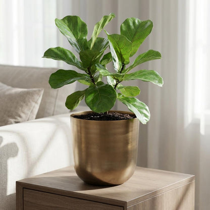 Sierpot - Pot Mayk Gold - D20cm x H22cm