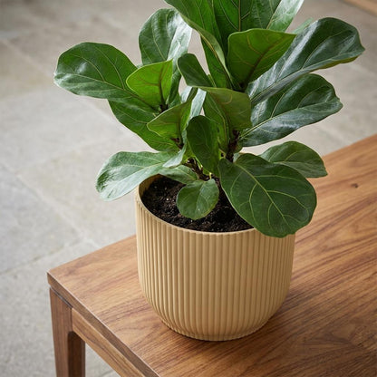 Sierpot - Vibes Fold 14cm - Geel