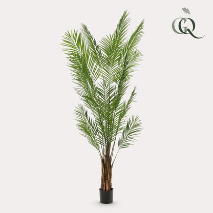 XL Kunstplant - Areca Lutescens Goudpalm - Hoogte ↕ 240cm