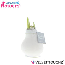 Kunstplant - Velvet Touchz® White - Hoogte ↕ 15cm