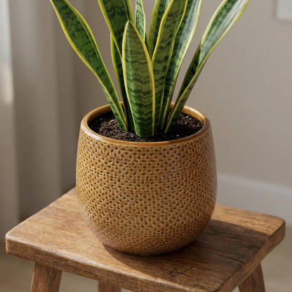 Pot Gabriel Rond Oker - Ø14cm