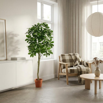XL Kunstplant - Pachira Aquatica - Hoogte ↕ 150cm